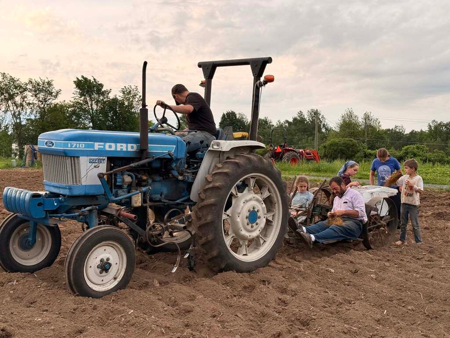 Locally Sourced Produce in the North Country - And Why Traceability Matters