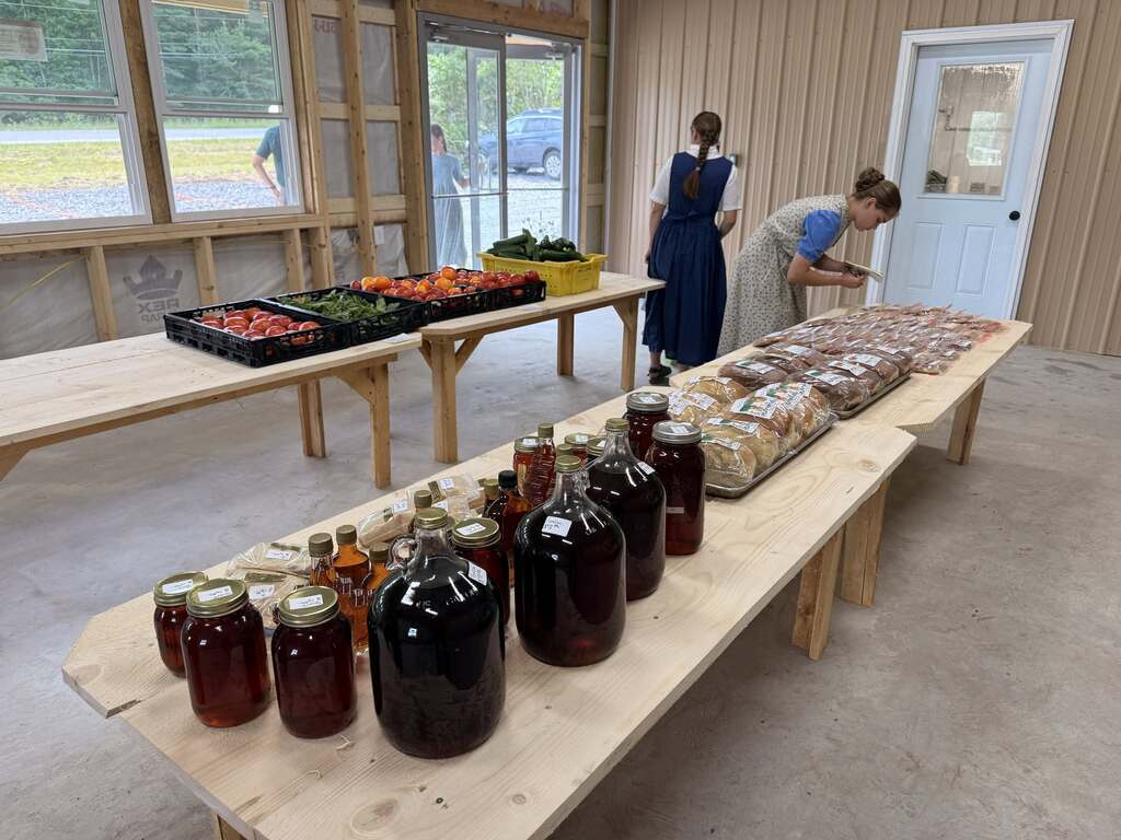 Raw & Unfiltered: The Truth About Real North Country Honey