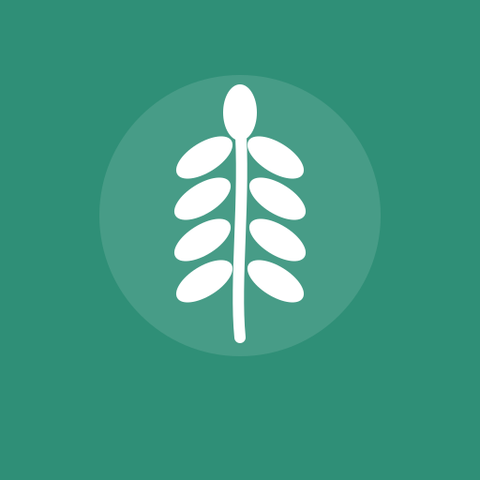 Herbs - Sold by EA