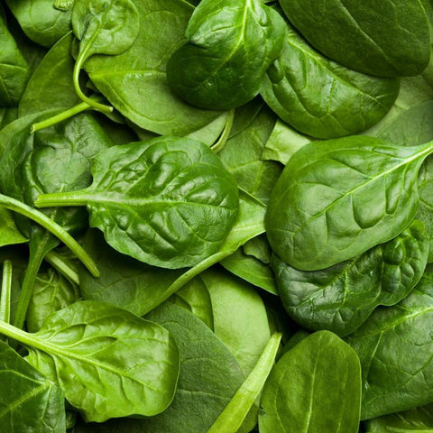 Spinach