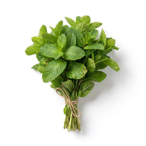 Bunched Mint