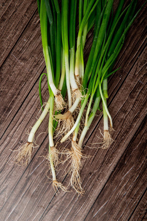 Garlic Scapes