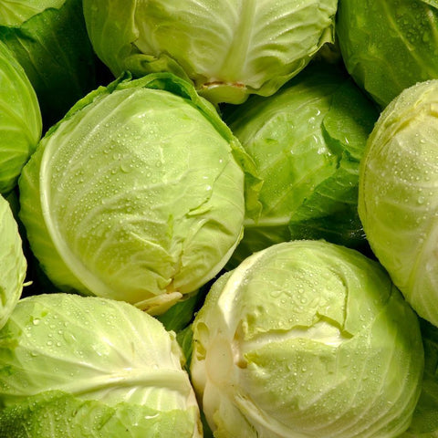 Green Cabbage