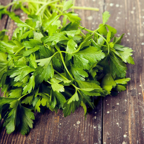 Bunched Parsley