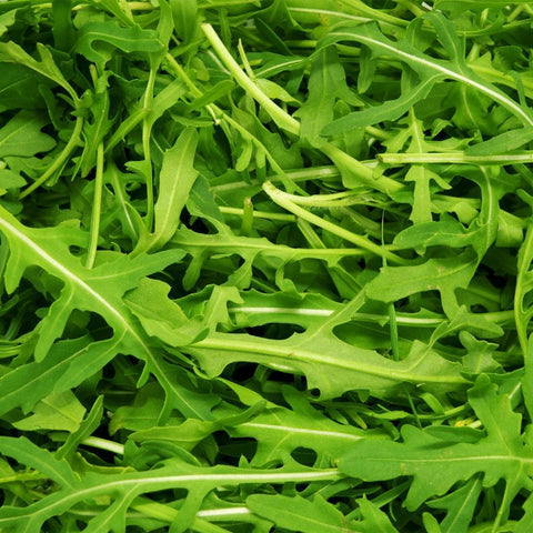 Arugula