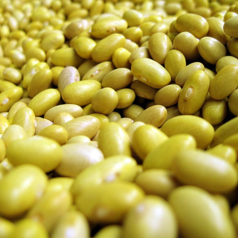 Yellow Beans