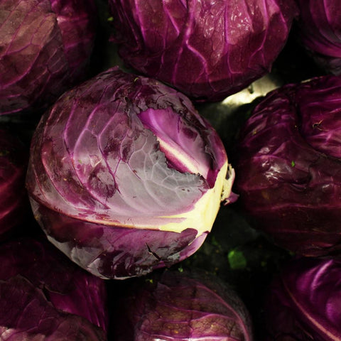 Red Cabbage