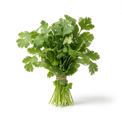 Bunched Cilantro