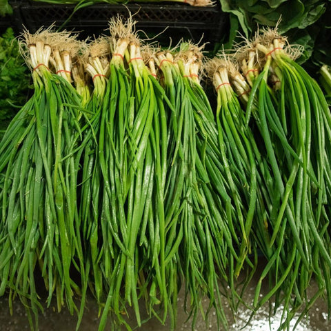 Green Onions (Scallions)