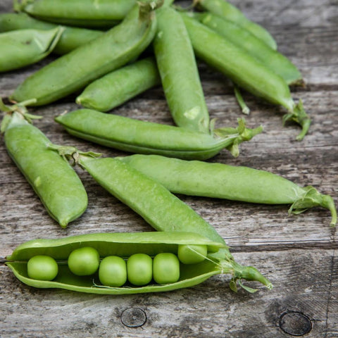 Snap Peas