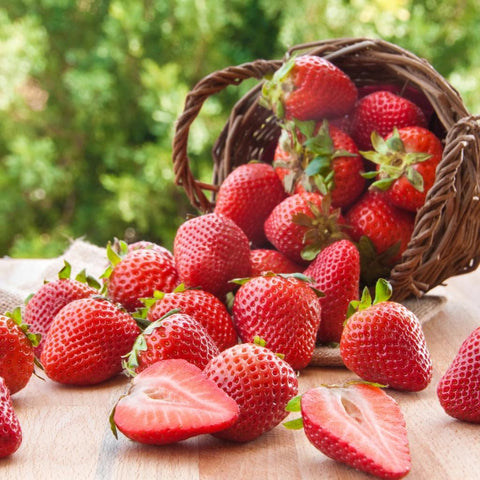 U-Pick Strawberries