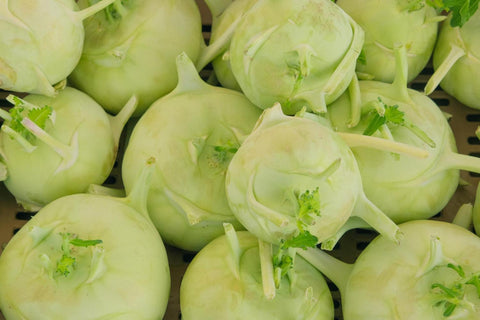 Kohlrabi