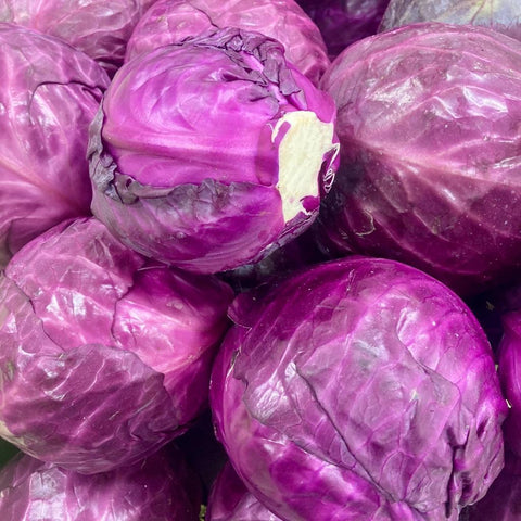 Red Cabbage