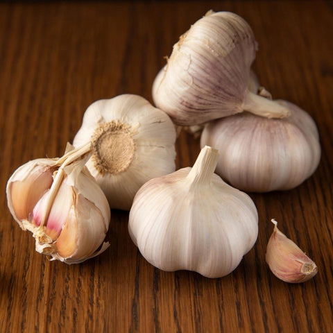 Garlic