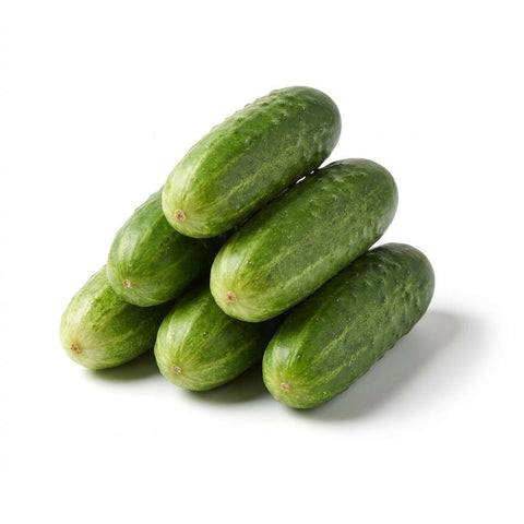 Pickling Cucumbers