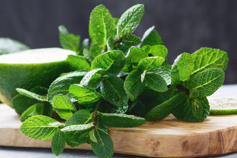 Bunched Mint
