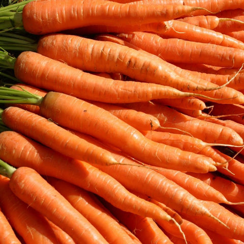 Carrots