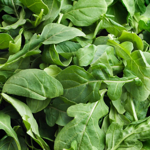 Arugula