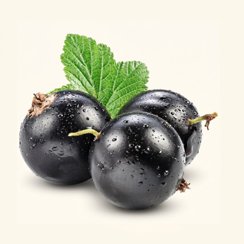Blackcurrants