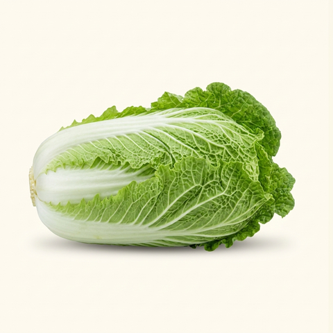 Napa Cabbage