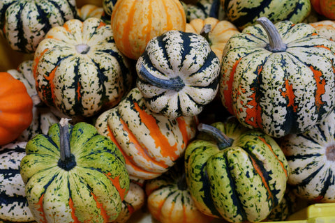 Winter Squash