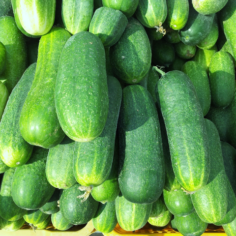 Cucumbers (Seconds)