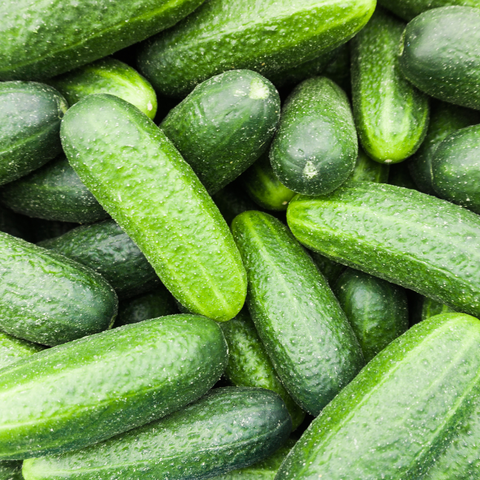 Cucumbers (Seconds)