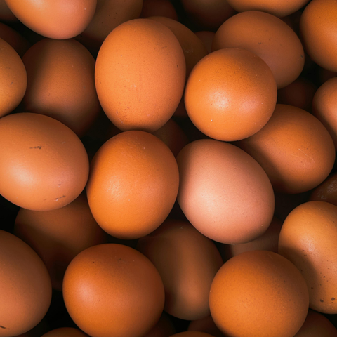 Fresh Eggs