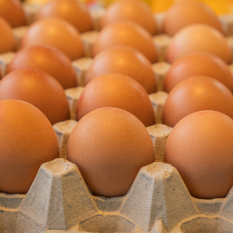 Fresh Eggs