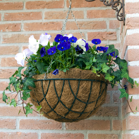 Hanging Flower Basket