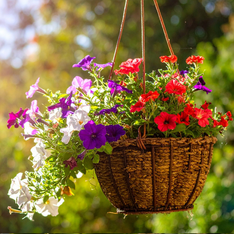 Hanging Flower Basket