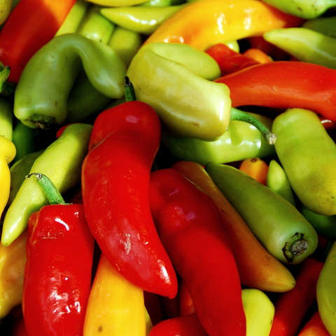 Hungarian Hot Pepper