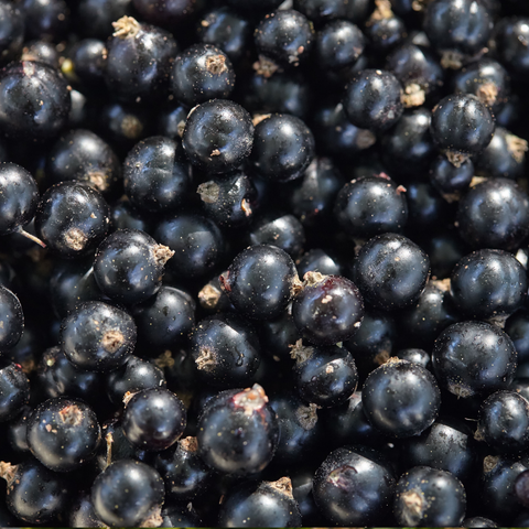 Blackcurrants