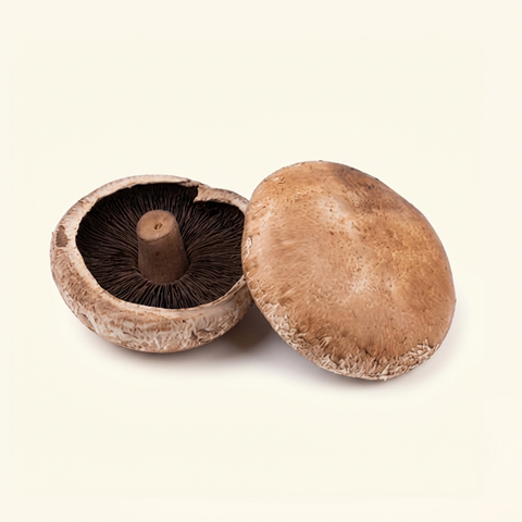 Mushroom Portabello