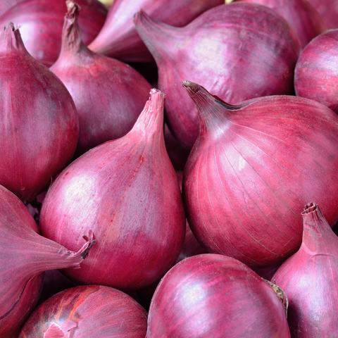 Red Onions