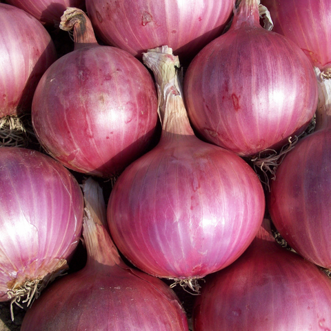 Onions Sweet test