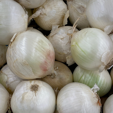 White Onions