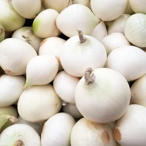 White Onions