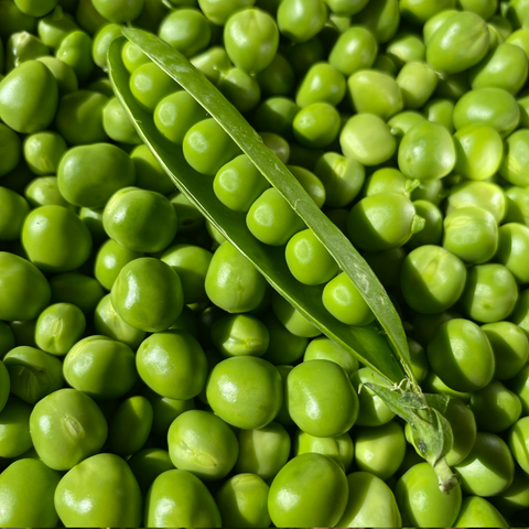 Shelled Peas
