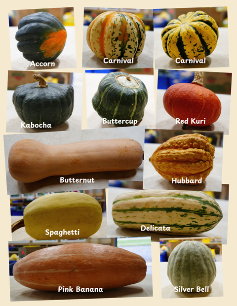 Winter Squash