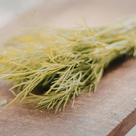 Dill (Fresh Herb)