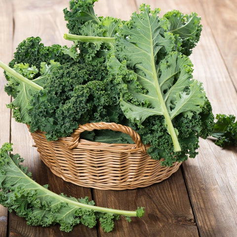 Curly Kale