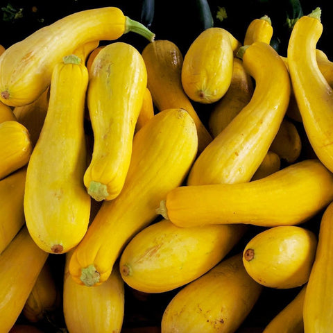 Yellow Squash