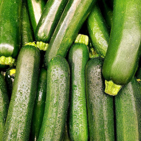 Zucchini