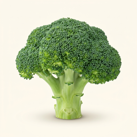 Broccoli