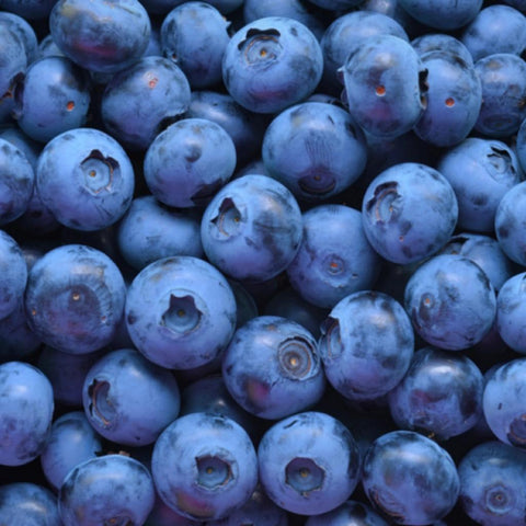 Blueberries