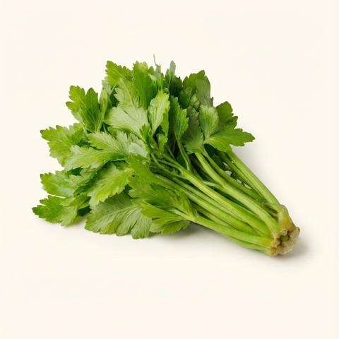 Celery