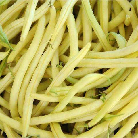 Yellow Beans