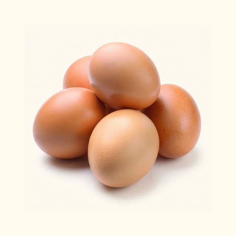 Fresh Eggs