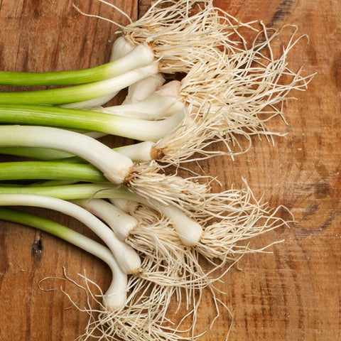 Green Onions (Scallions)